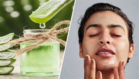 5 DIY Ways To Use Aloe Vera To Get Healthy Skin Lifeberrys