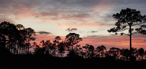 Refuge Friends Groups: The Heart of the National Wildlife Refuge System ...