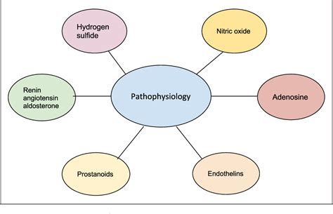 Figure From Vasoplegia A Review Semantic Scholar