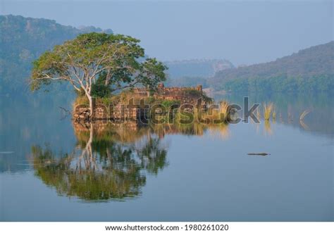 Serene Morning On Lake Padma Talao Stock Photo Shutterstock