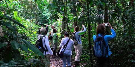 Reserva Nacional De Tambopata