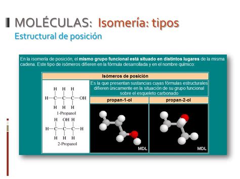 Ppt Bioqu Mica Estructural Composici N Molecular De Los Seres Vivos