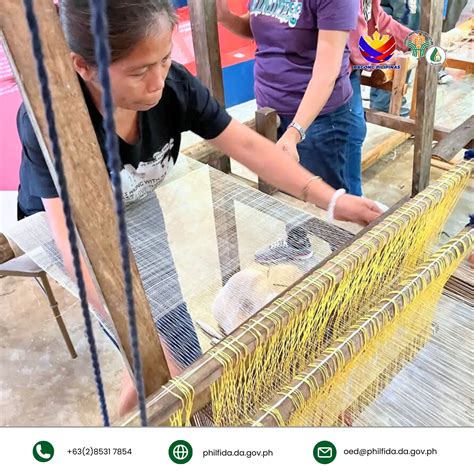 philfida nmp bicol collaborates  preserve  sustain  art