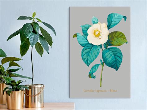 Cuadro para pintar por números Beautiful Camellia Kits de pintura