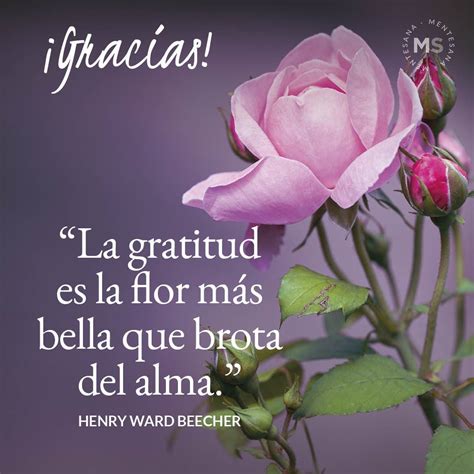 Gratitud Frases De Agradecimiento A Un Amigo