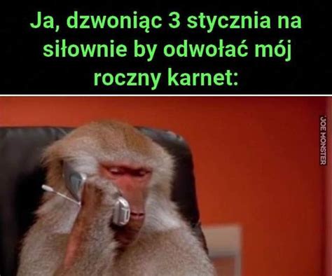 Już czas Joe Monster