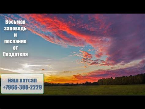 466 сеанс Восьмая заповедь и послание от Создателя - YouTube