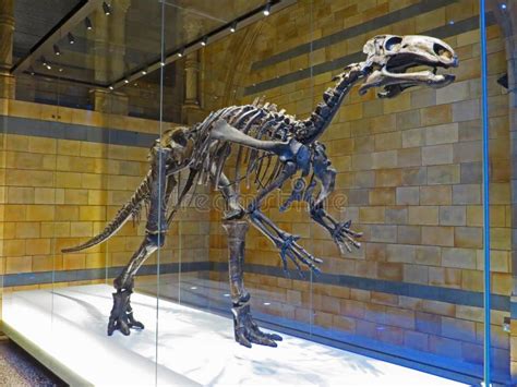 Wielki Dinosaura Park Dokąd ślada Te Antyczni Gady Fotografia