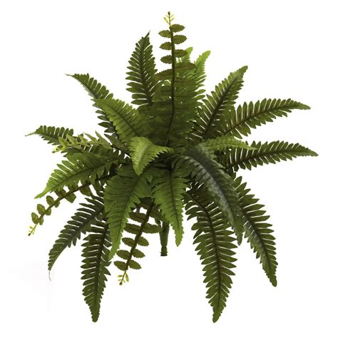 14” Boston Fern Artificial Plant Set Of 6 Nearly Natural