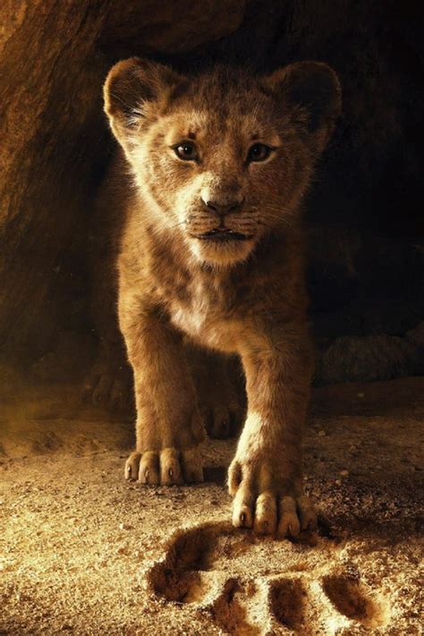 Lion King 1 12 Poster