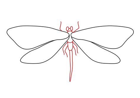 How To Draw Dragonflies Design School