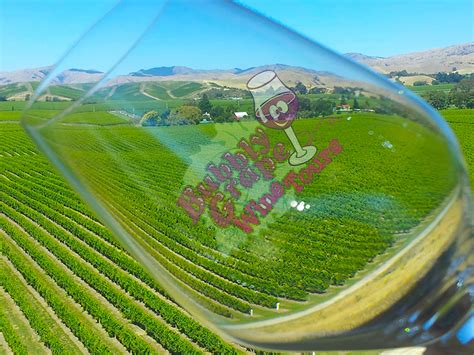 New Zealand Wine Tour Wine Tour Packages Nz Bubbly Grape Wine Tours