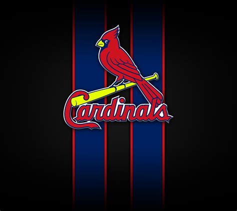 🔥 [95+] St. Louis Cardinals Wallpapers | WallpaperSafari