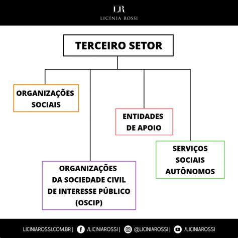 Terceiro Setor Entidades Paraestatais Ou Entes De Coopera O