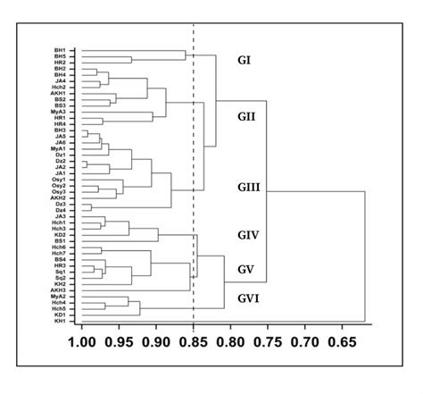 Hierarchical Clustering Dendrogram Showing The Relationships Among The