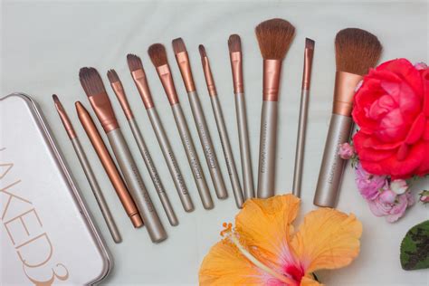 Urban Decay Naked 3 Brushes Review Uses Kadenyi