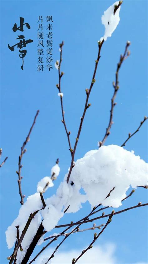 小雪节气古诗大全（小雪的经典古诗词） 我爱育娃