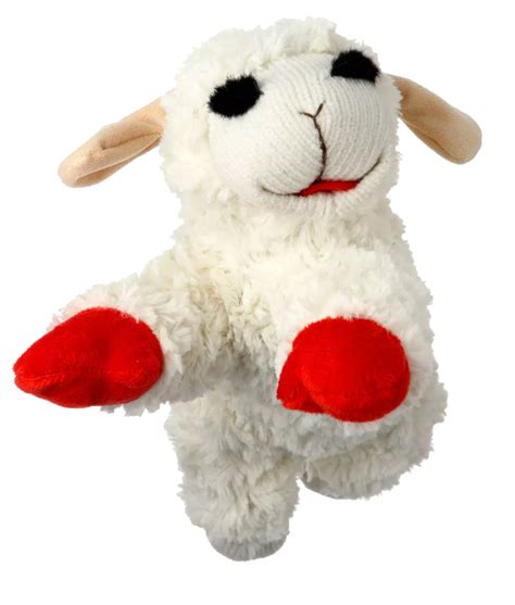 multipet lamb chop dog toy boston barkery dog bakery dog birthday cakes dog bakery