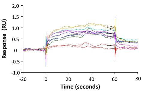 Spr Biacore Assay Gifford Bioscience