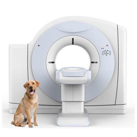 Veterinary Computed Tomography Scanner Market