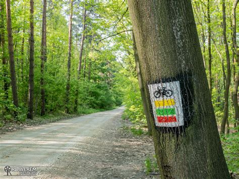 Czerwony Szlak Rowerowy Nr Rybnik Lubomia Rowerem Po L Sku