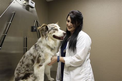 Chisholm Trail Veterinary Clinic Of New Braunfels Office Photos Glassdoor