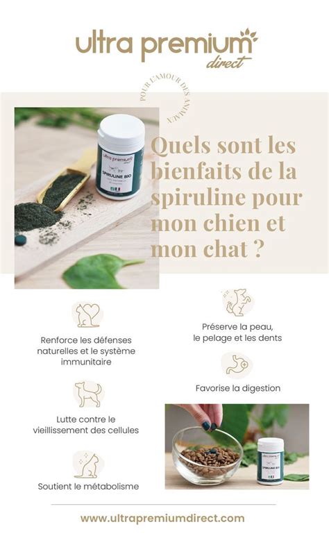 Quels Sont Les Bienfaits De La Spiruline Pour Mon Chien Ou Mon Chat