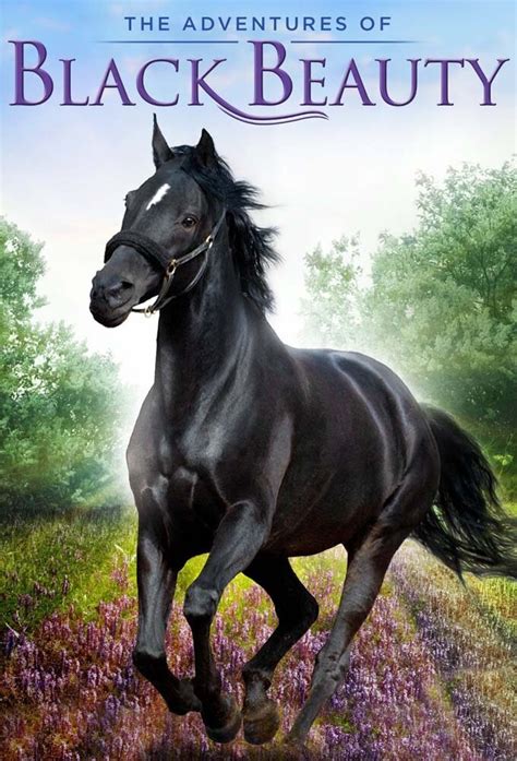 The Adventures Of Black Beauty Tvmaze