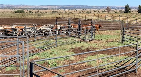 Old Holding Pens For Cattle