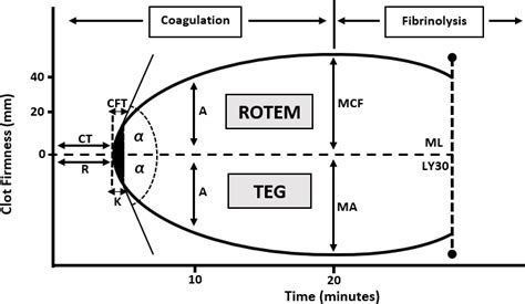 Illustration Of The Graphical Representation Of Rotem Results With