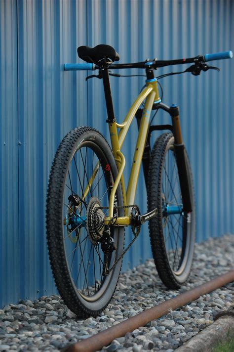 Marcia S Custom Mountain Bike Sklar Steel And Titanium