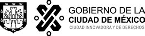 GOBIERNO DE LA CIUDAD DE MEXICO What The Logo