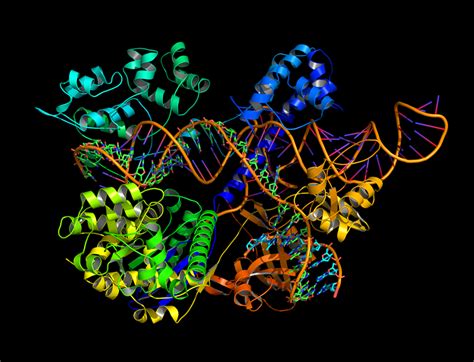 Zhang lab unlocks crystal structure of new CRISPR/Cas9 genome editing ...