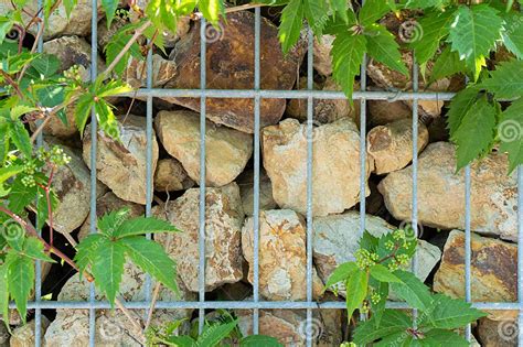 Gabion Stone Fence Retaining Wall Gabion Baskets Stones In Wire Mesh Modern Garden Gravel