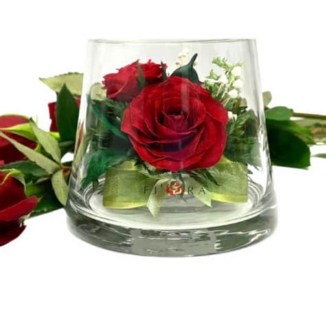 Fiora Flower Long Lasting Red Roses In A Small Taper Up Cylinder Glass