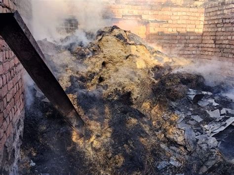 Baijnath Village Lower Kudail Cow Shelter Fire बैजनाथ में 2