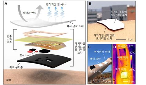 송영민 Gist 교수팀 웨어러블 전자소자 발열 해결 냉각 소재 개발 전자신문