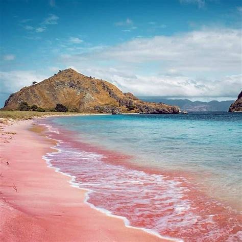 Pink Beach Komodo National Park Flores Island Indonesia Komodo National Park National