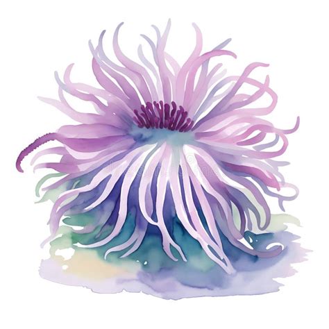 Sea Anemone In Cartoon Style Cute Little Cartoon Sea Anemone Isolated