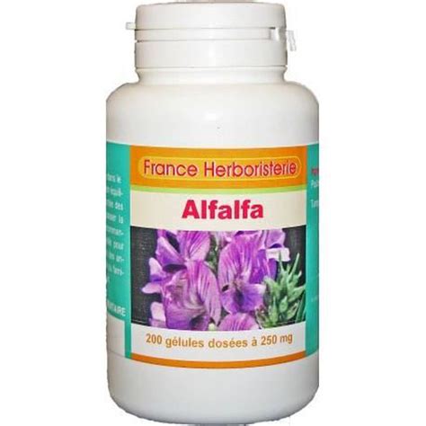 GELULES ALFALFA dosées à 250 mg 200 gélules 0 1 Cdiscount Santé