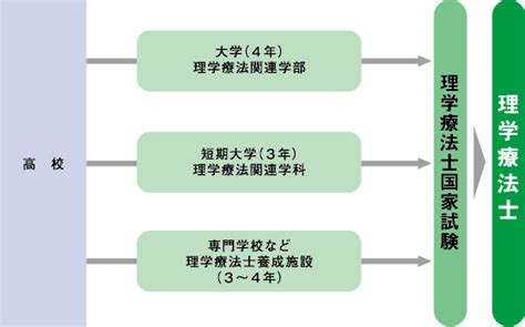 理学療法士｜まるわかり医療の仕事図鑑｜森ノ宮医療大学 高校生・受験生専用サイト｢morinomiya Port｣