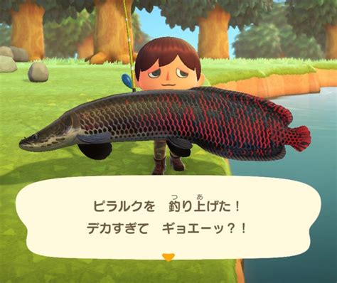 デカすぎてギョエーッ！『あつまれ どうぶつの森』で釣れる「ピラルク」ってどんな魚？【平坂寛の『あつ森』博物誌】 2021年7月1日