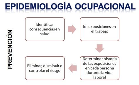 Epidemiología Qué Es Características Y Todo Lo Que Debes Saber