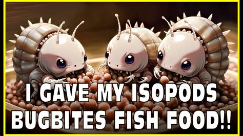 Isopods Eat Bug Bites Fish Food Isopod House Terrarium 4k Timelapse