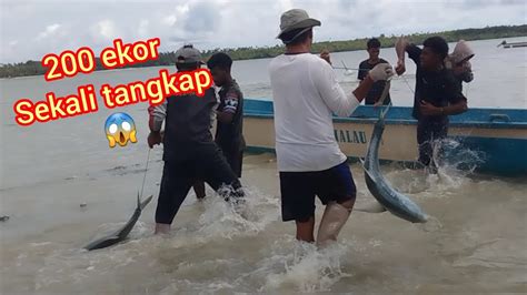 Gokil‼️ Sekali Menjaring Dapat Banyak Ikan Youtube