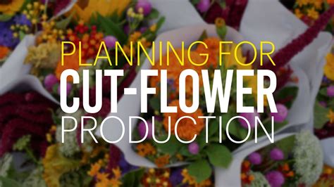 Planning For Cut Flower Production Youtube