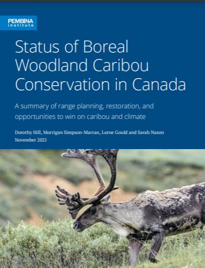 Status Of Boreal Woodland Caribou Conservation In Canada Canadian