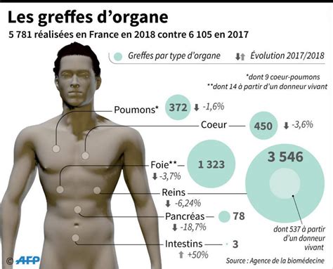 Baisse Du Nombre De Greffes En Apr S Huit Ans De Hausse Francesoir