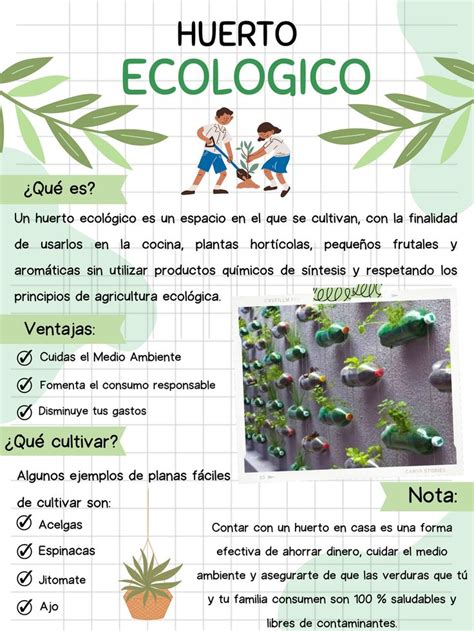 Huerto Ecol Gico En Huertos Escolares Huerto Ecologico Huerto