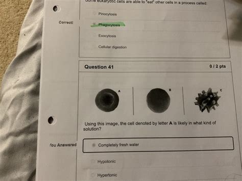 Micro Lecture Exam One Flashcards Quizlet